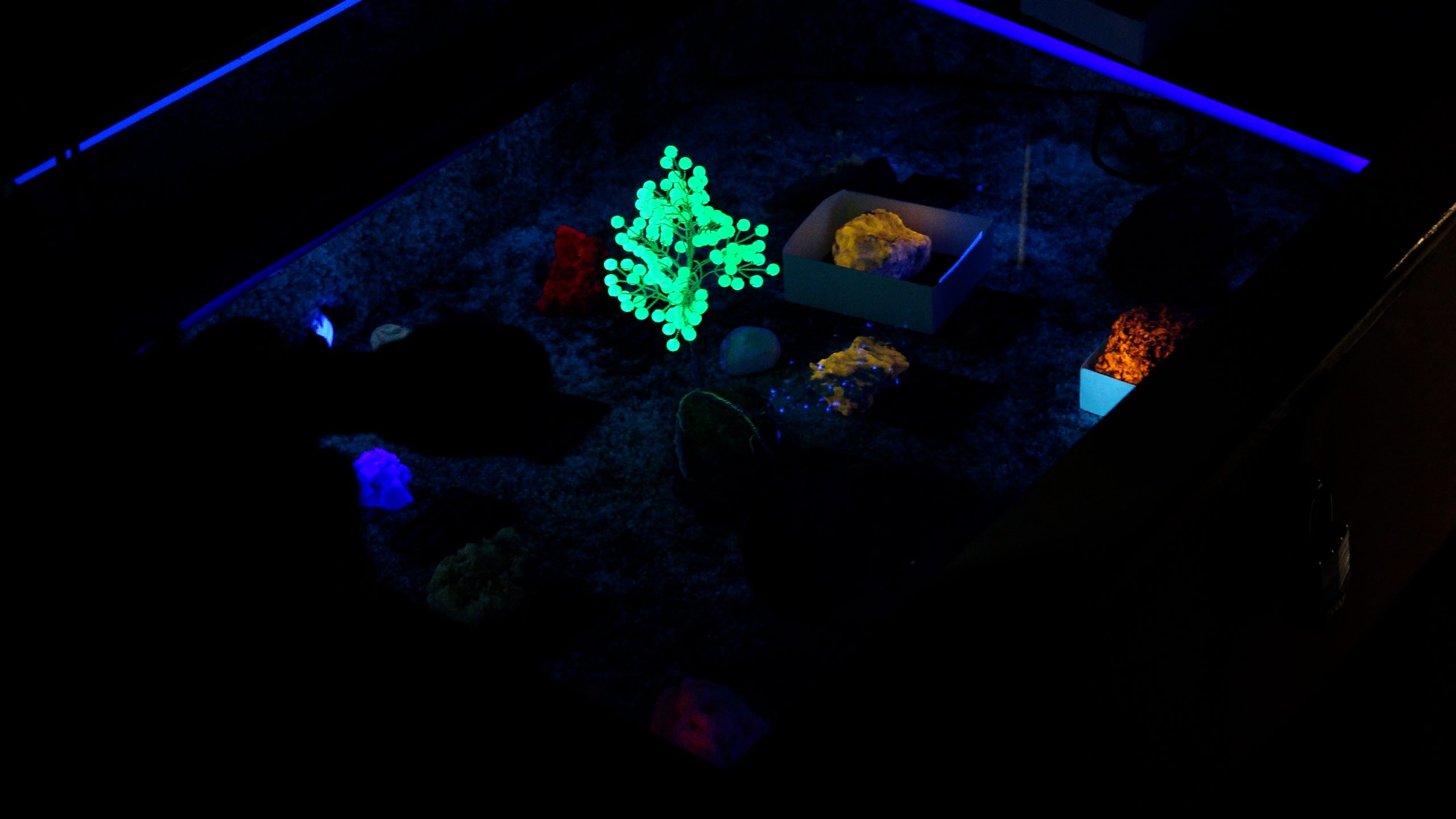 Fluorescent Minerals Cave Glowing green fluorescent mineral display under ultraviolet light.